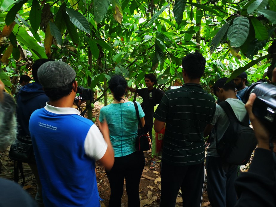 Experiential Learning and&nbsp;EDP